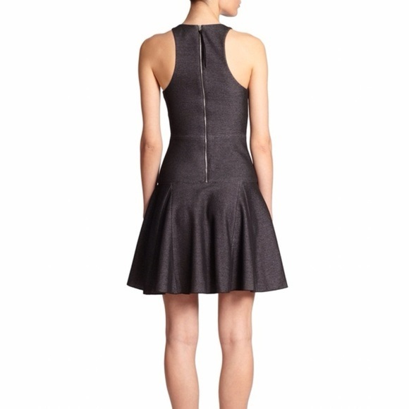 EUC - Rag & Bone Enigma Drop Waist Fit and Flare Dress - size 4 - Picture 3 of 6